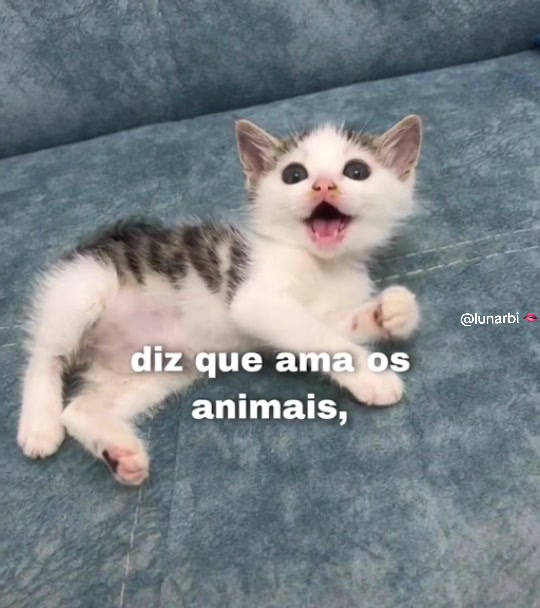 @lunarbi 🫦