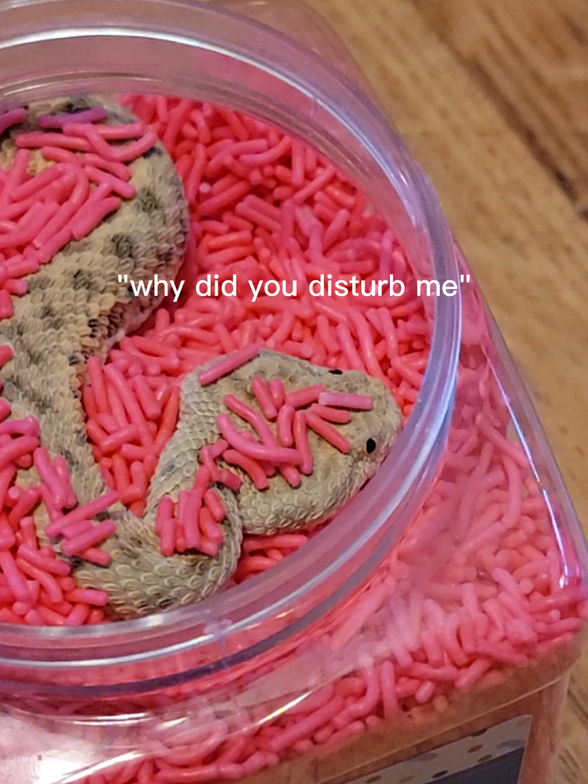 @Joey Josselson