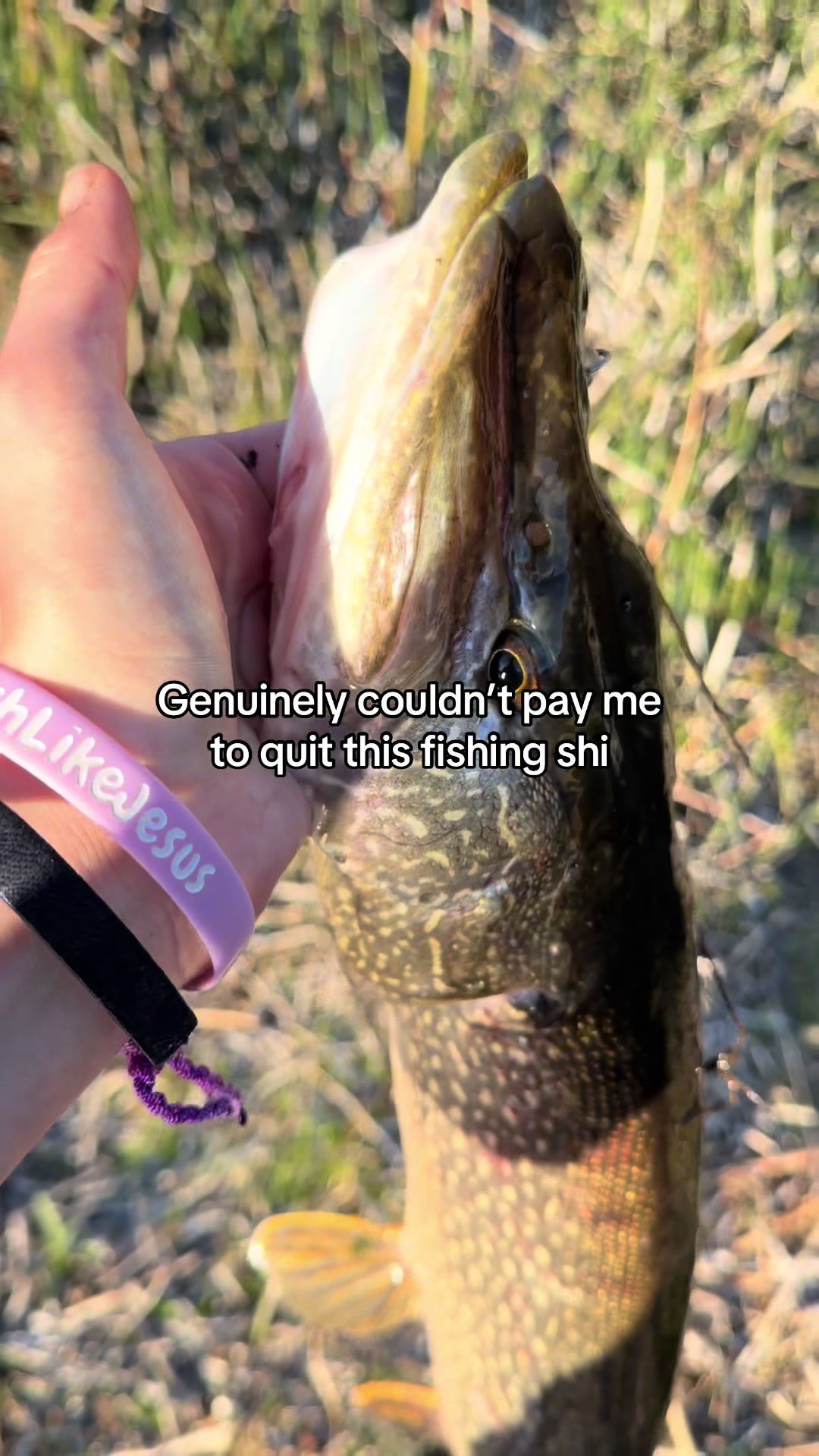 @FattBassFishing