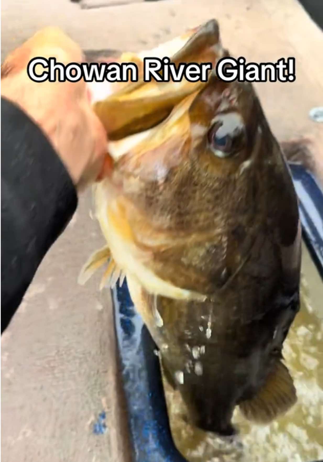 @evan_whitefishing