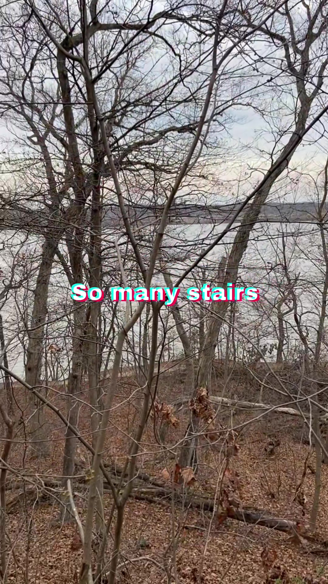 @Starved Rock State Park