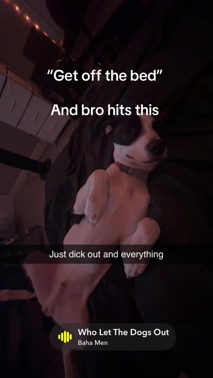 @andrewtf