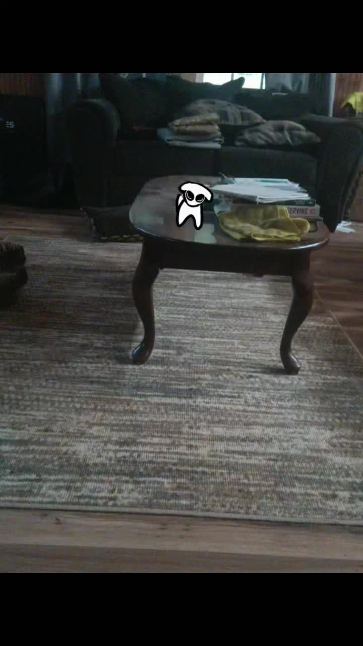 @hailyy