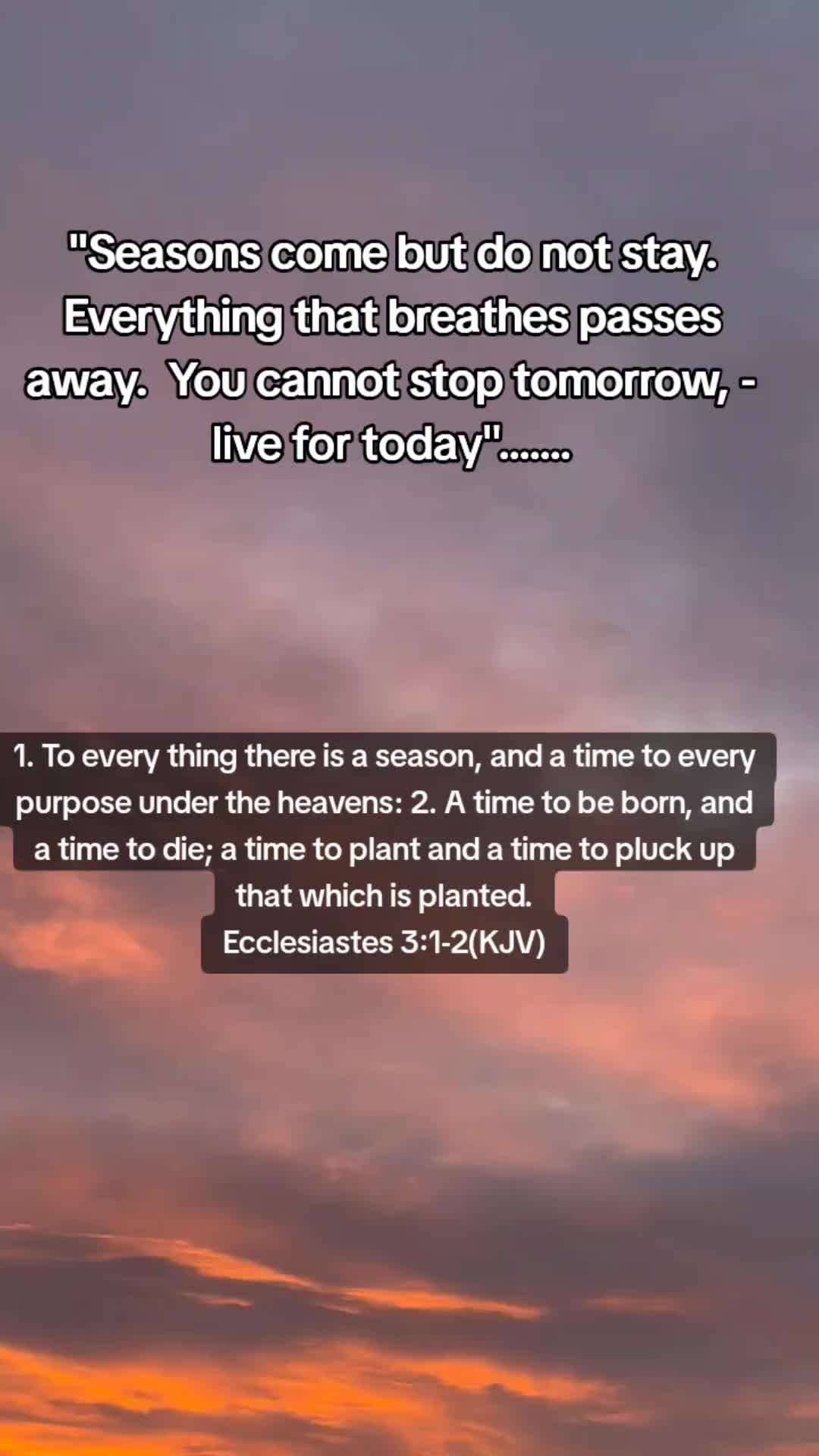 @Analise Johnson