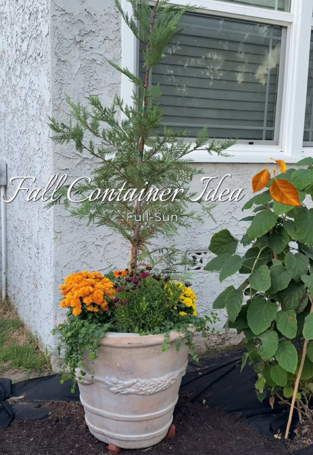 @heartandgarden