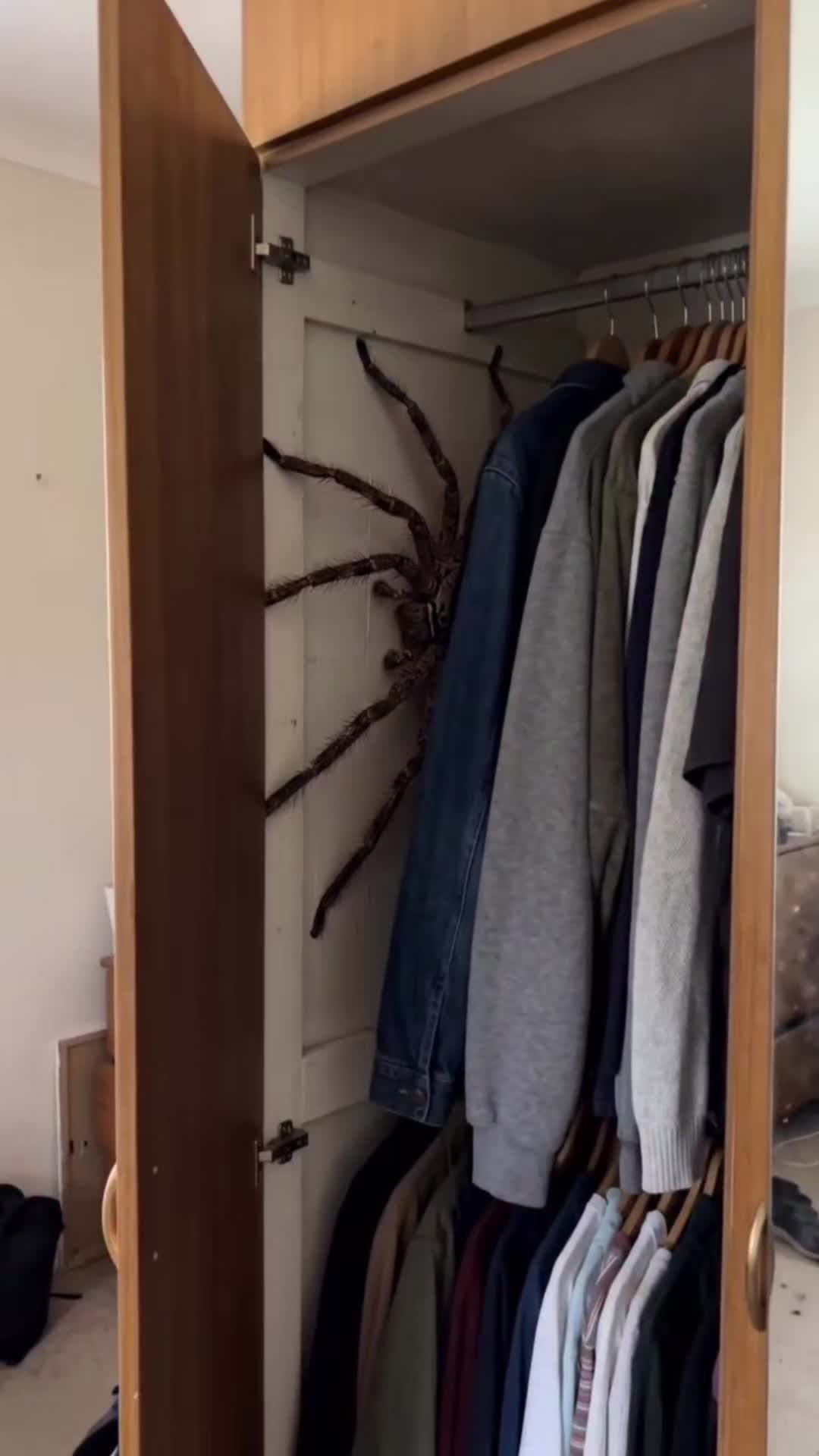 @Bigdaddyleo