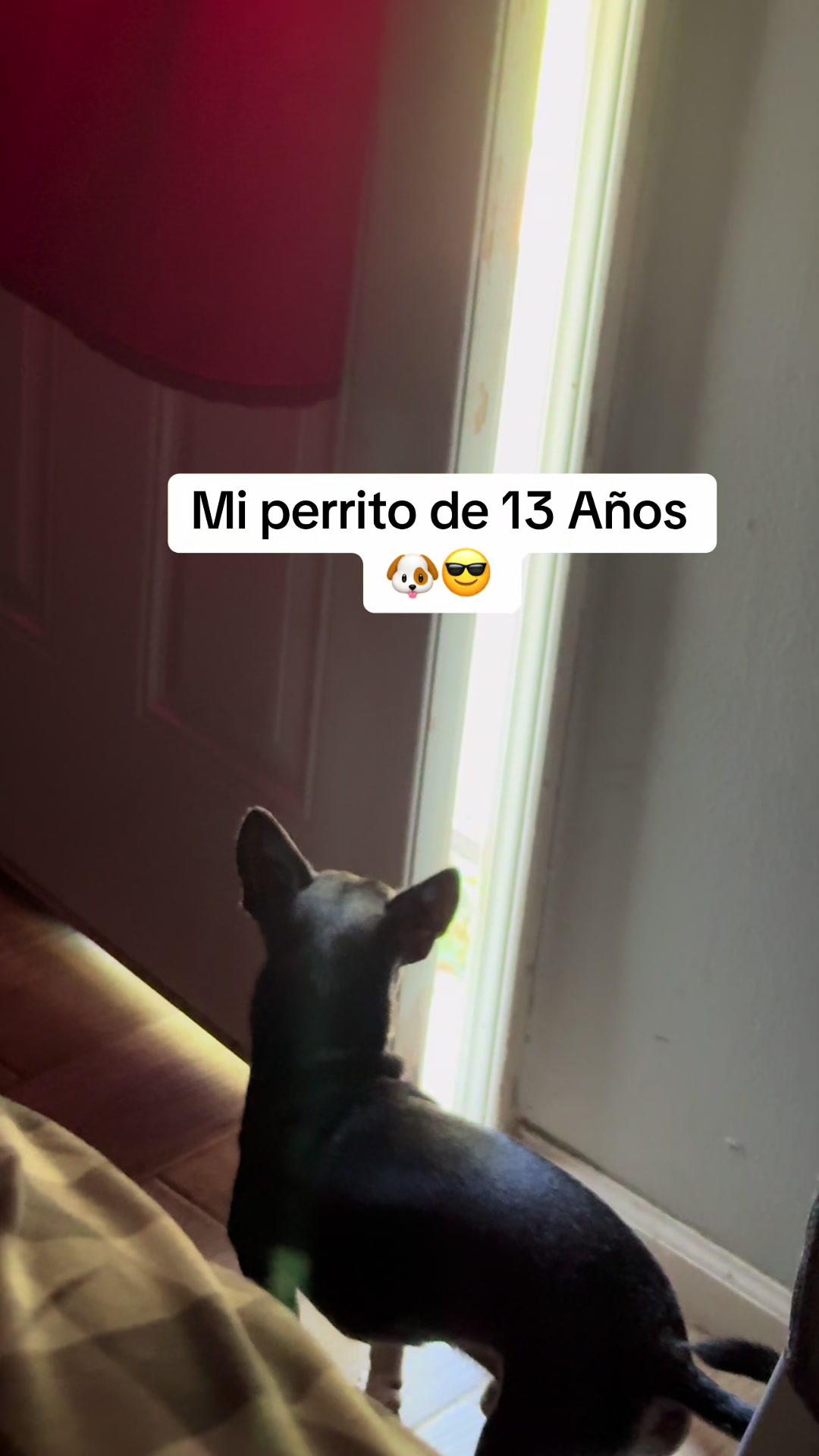 @Matti|C+B vlog🐶❤️