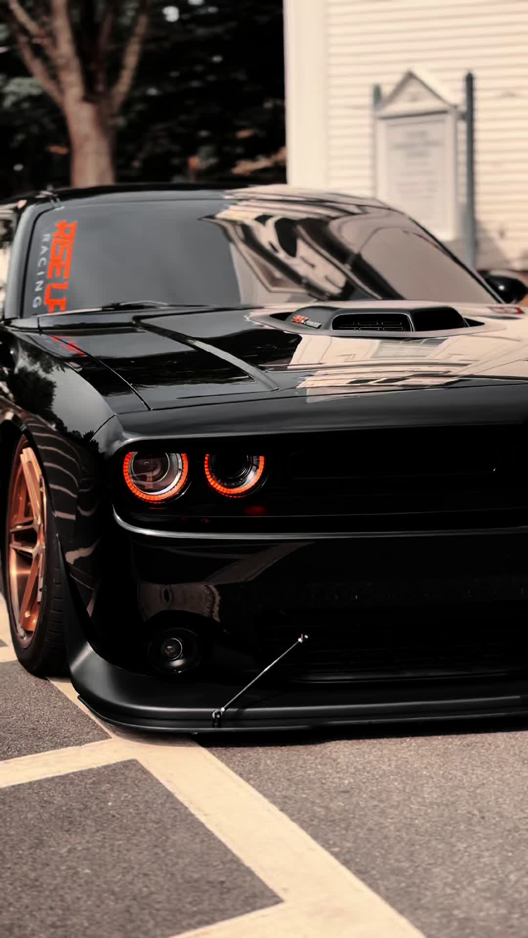 @Scatpack Bee 🐝