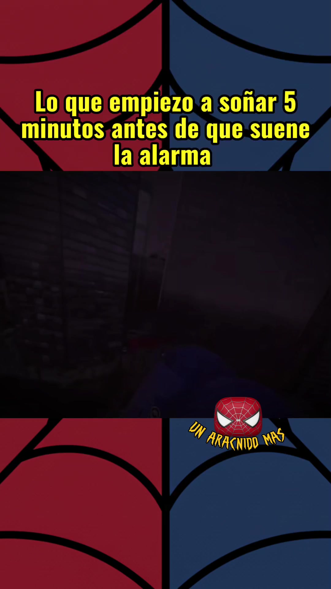 @Un Arácnido Más🕷️