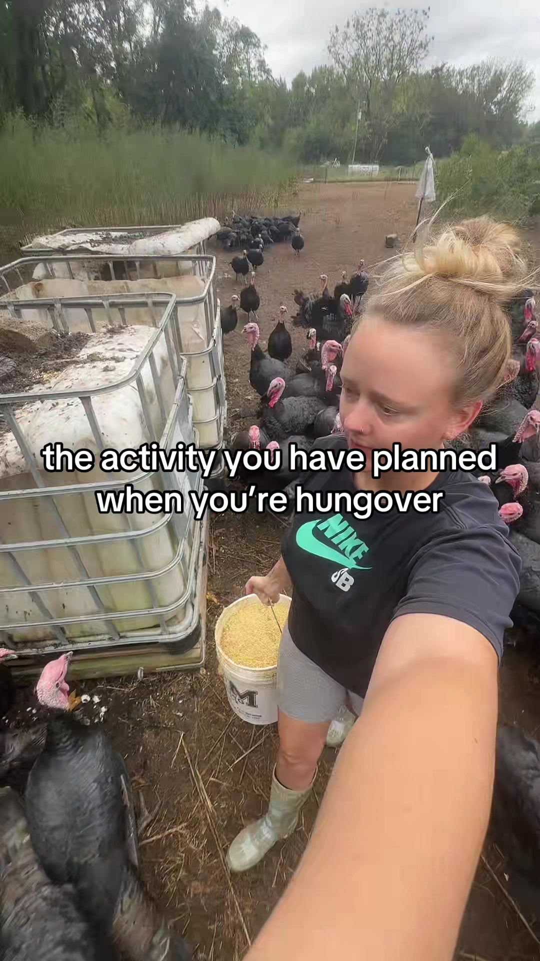 @farmerandtheharpiist