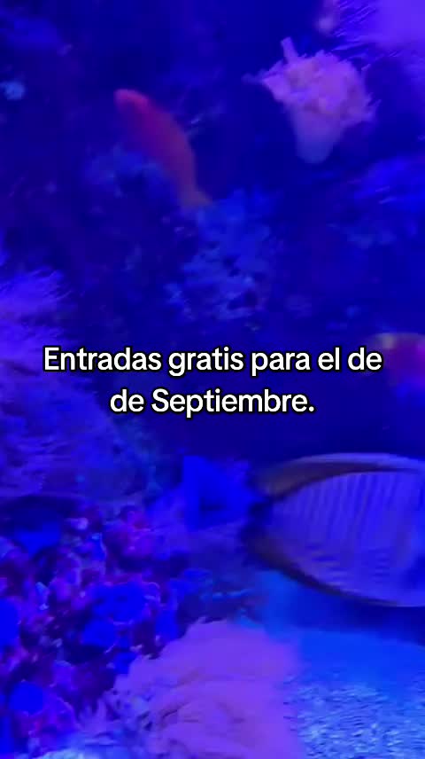 @juliavega376