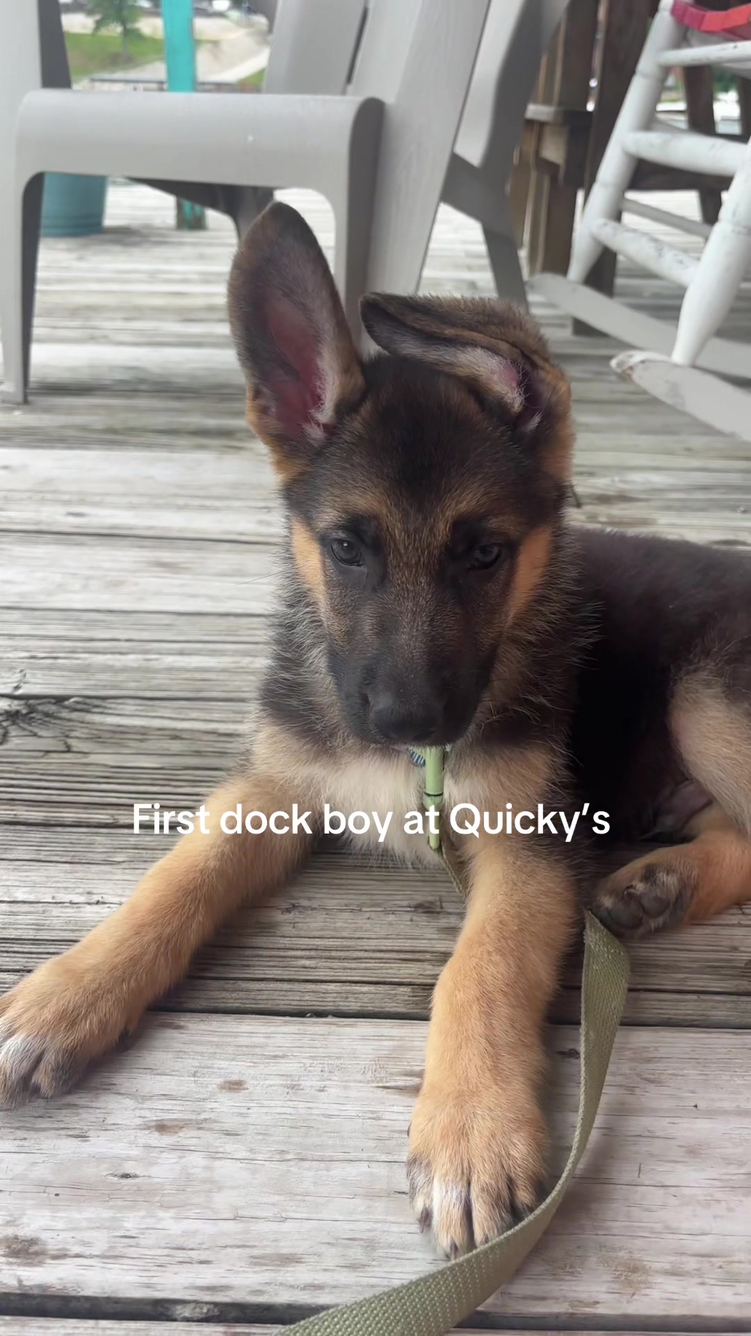@Quicky&rsquo;s Gas Dock