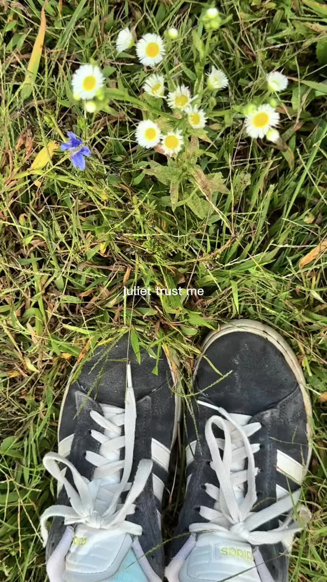@💗🌷röse🌷💗