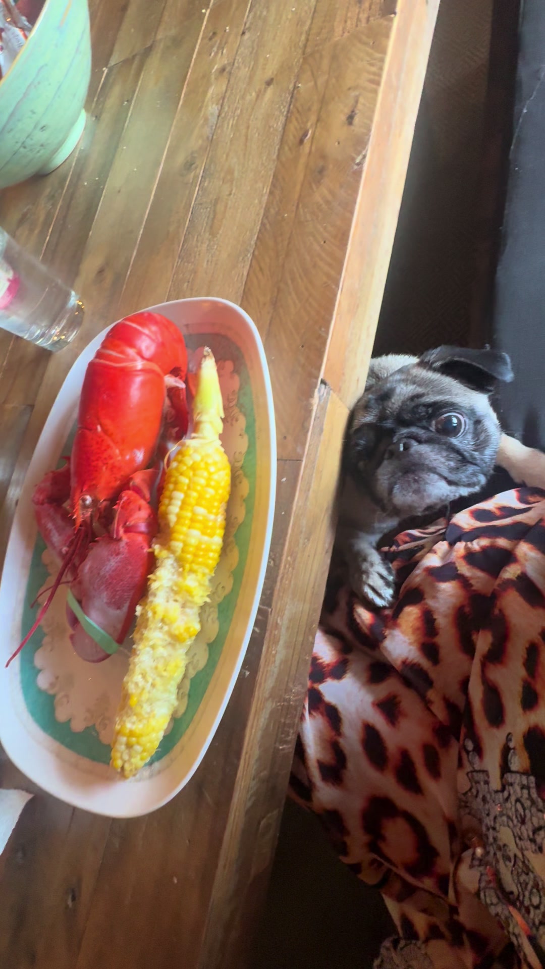 @thepugfang
