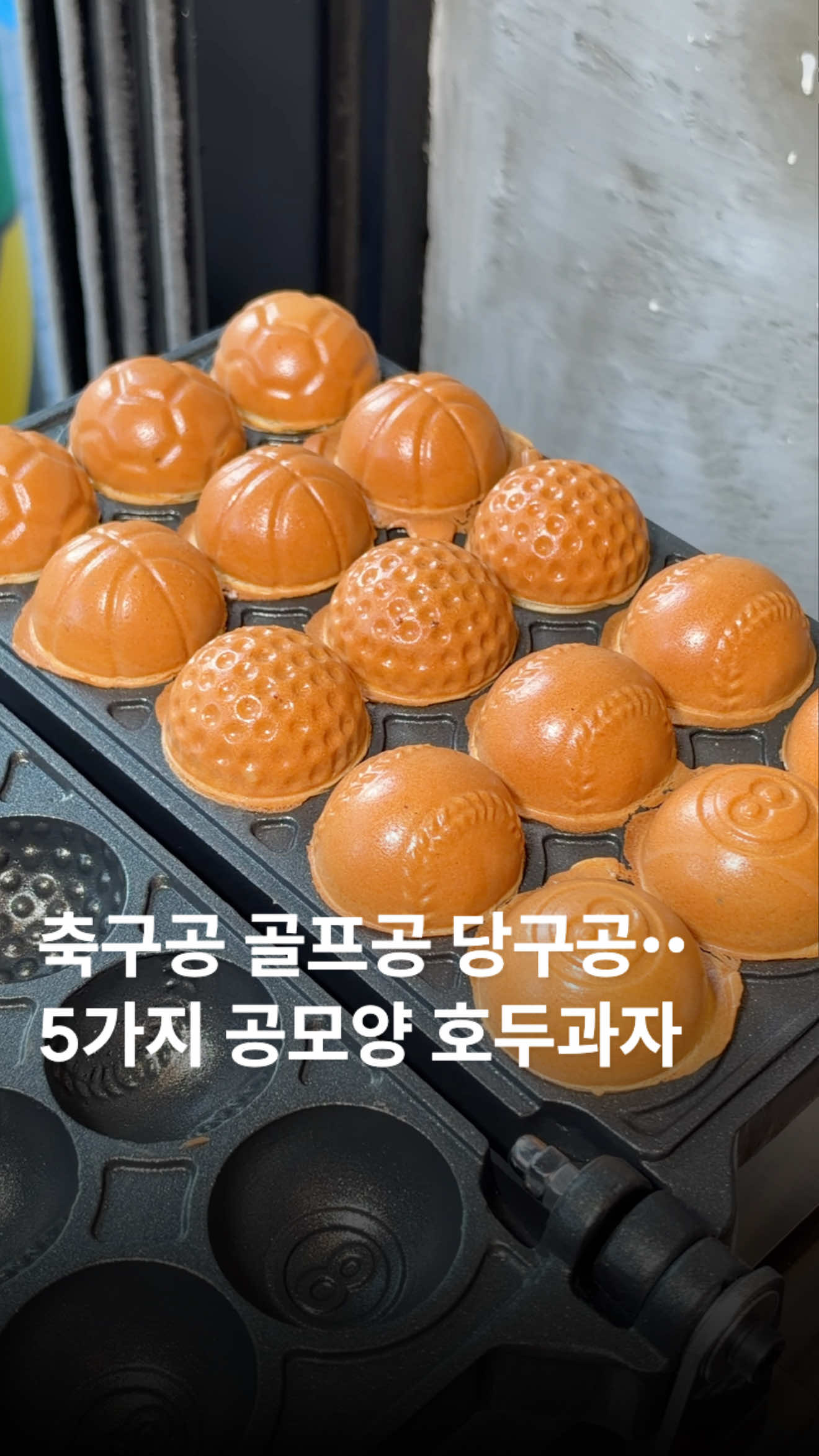 @๋ฌธ๋ฌ