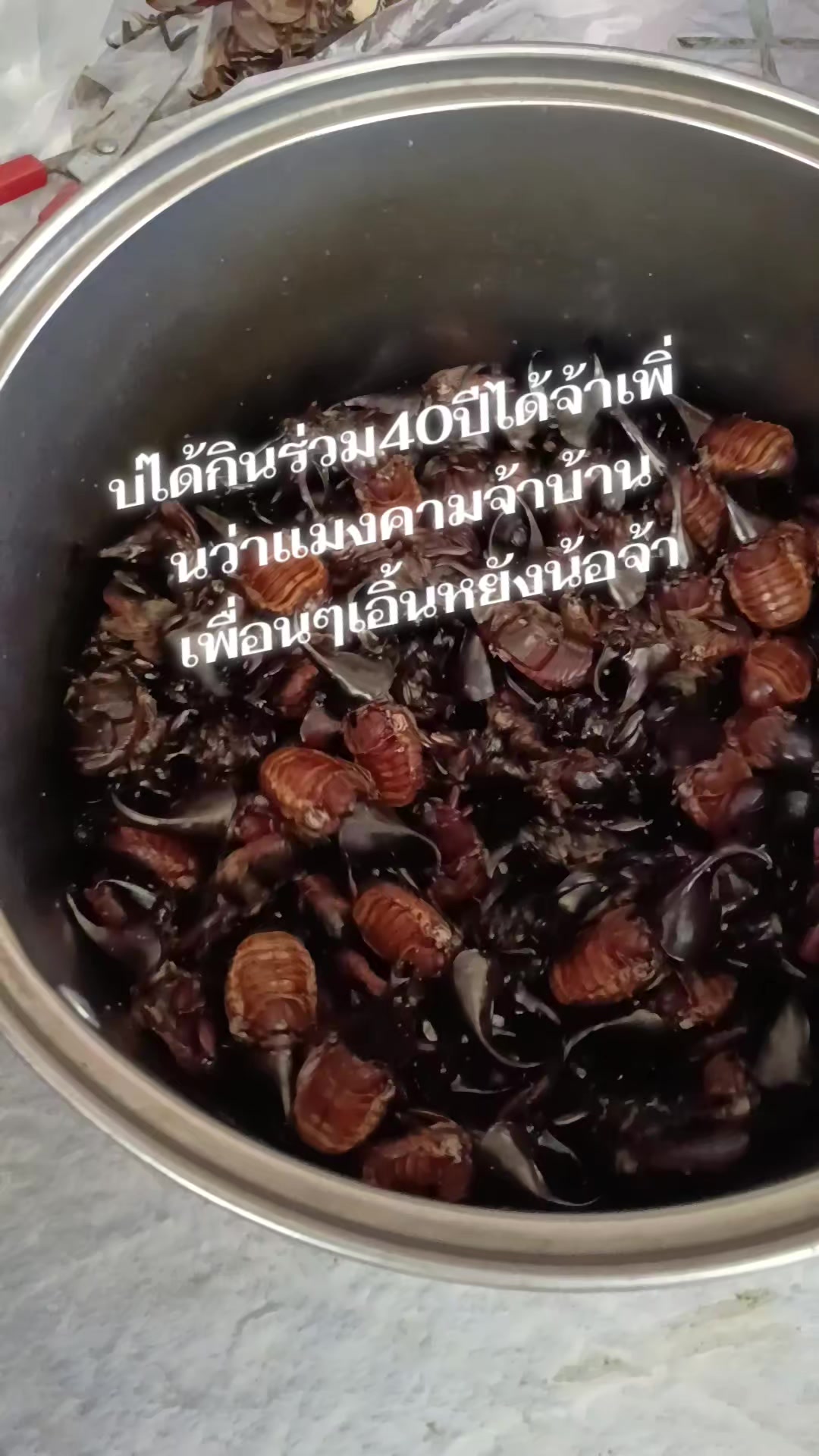 @pranee