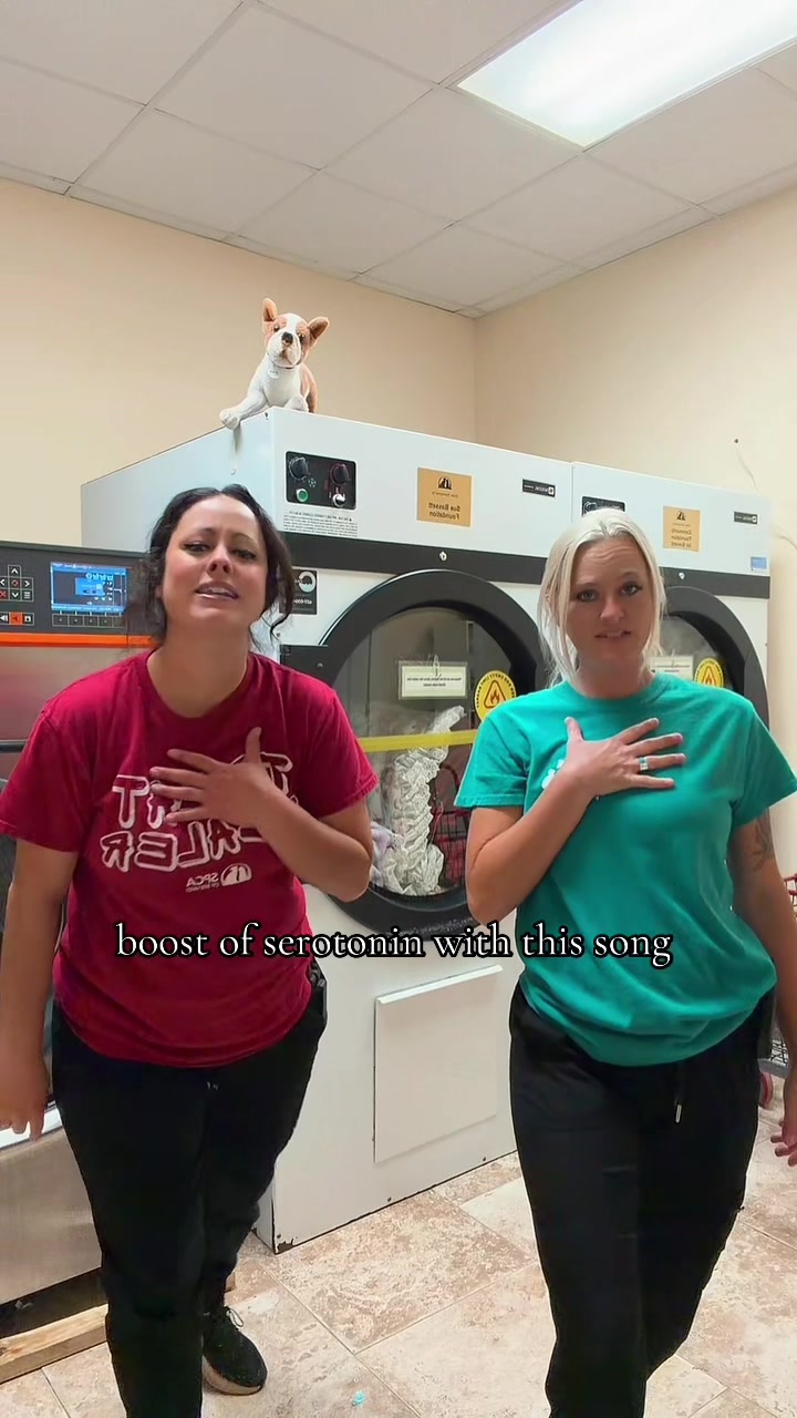 @2vettechs