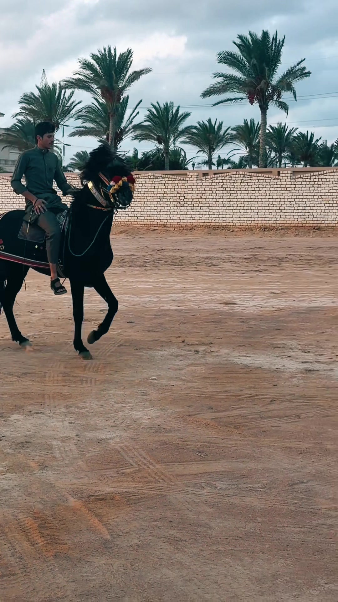@عرفات عبدالناصر ال عقاري💸👌