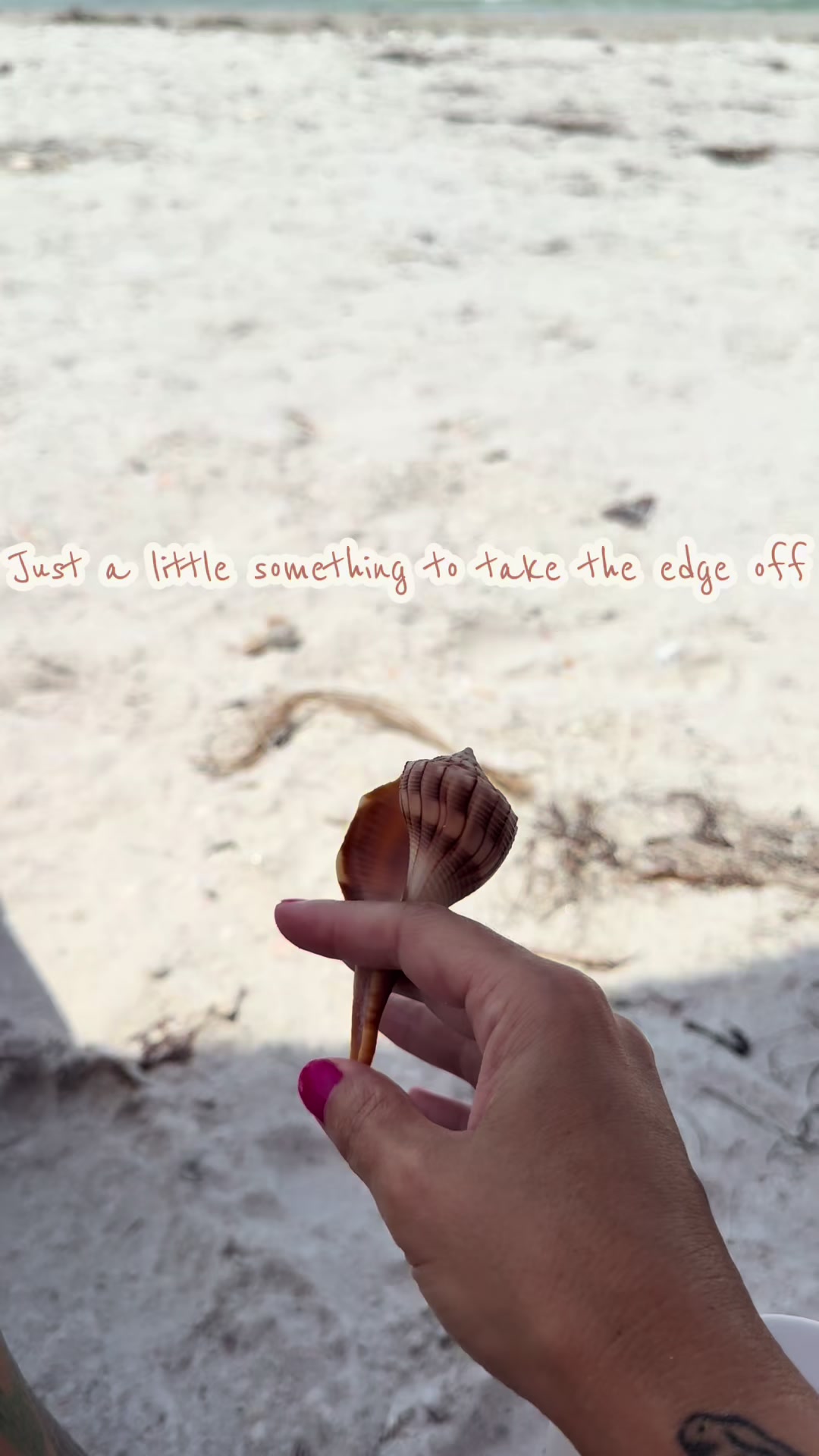 @Ashley Shields🌺🐚