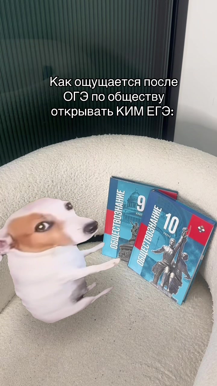 @Оля Вебер про ОБЩЕСТВО