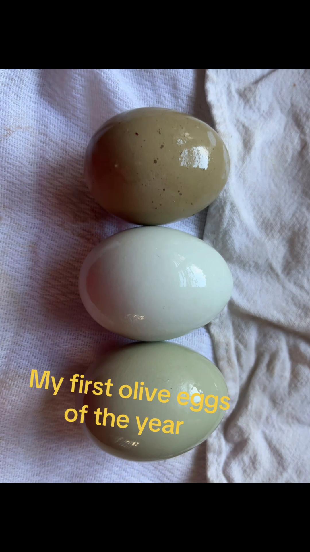 @crochetingchicken