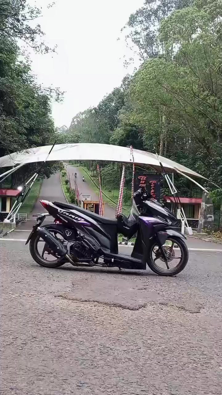 @Varsanz.Larensaa🇻🇳