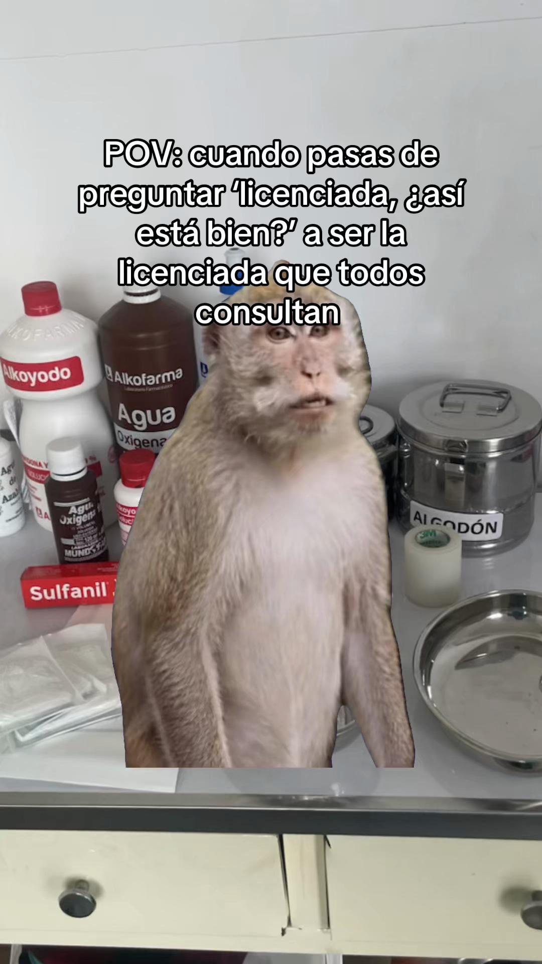 @Erika🪽