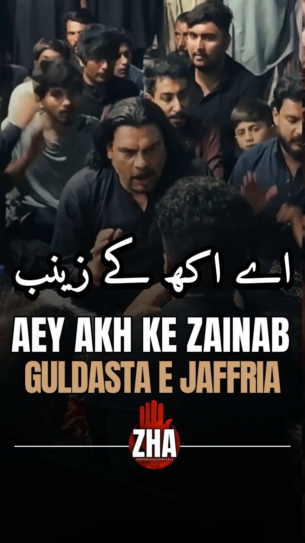 @Zikrehussainibneali
