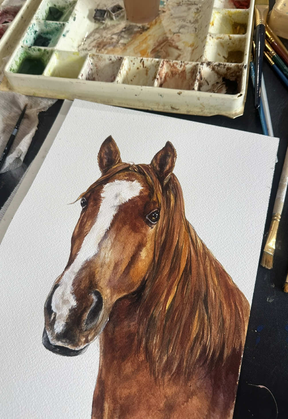 @Pet Portrait Artist