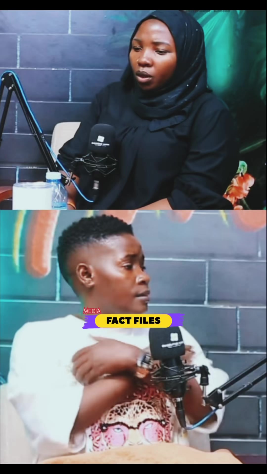 @FactFilesMedia