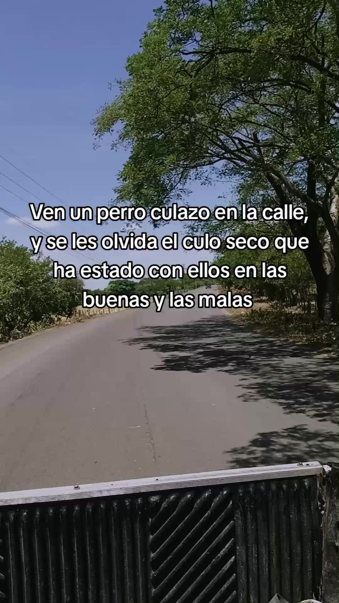 @Sebastián 74