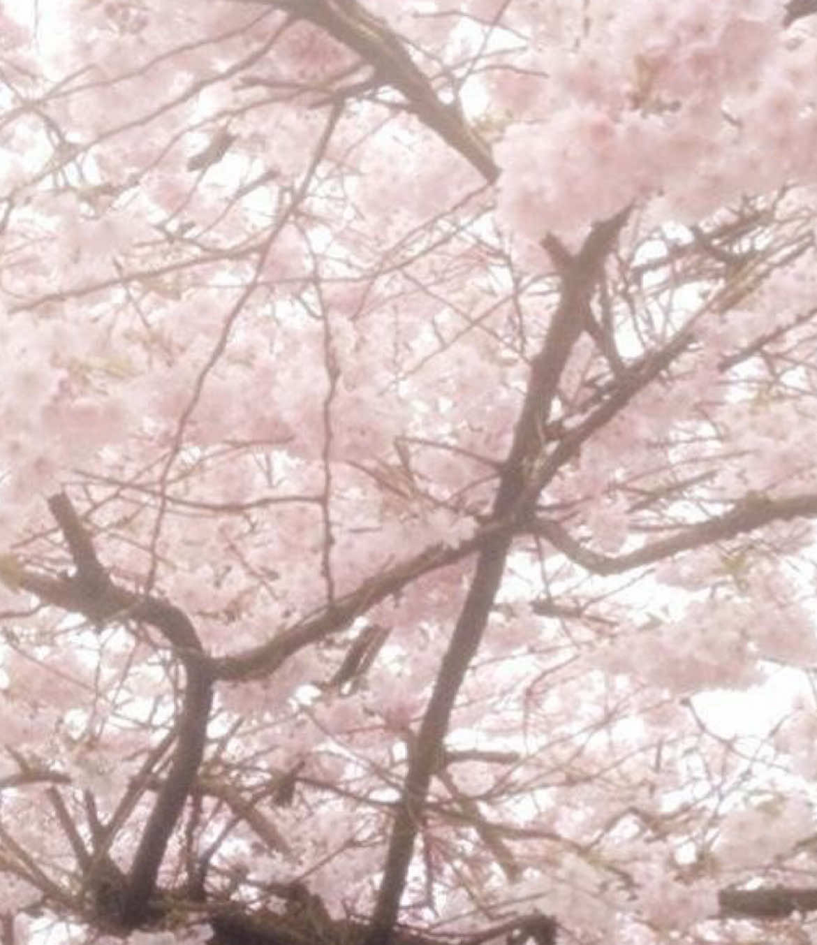 @☁️