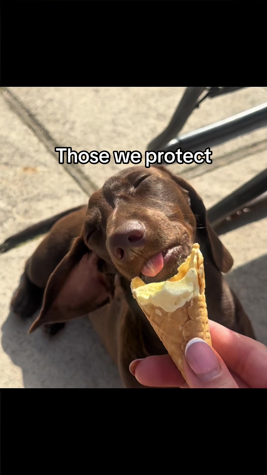 @Meat Sucks