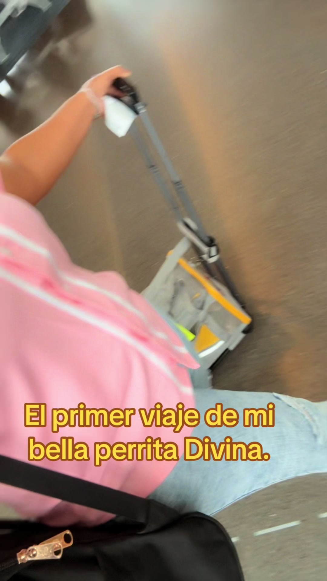 @Elis Isabel Del Rosa