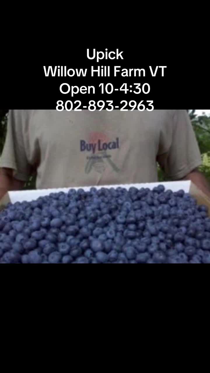 @Willow Hill Farm