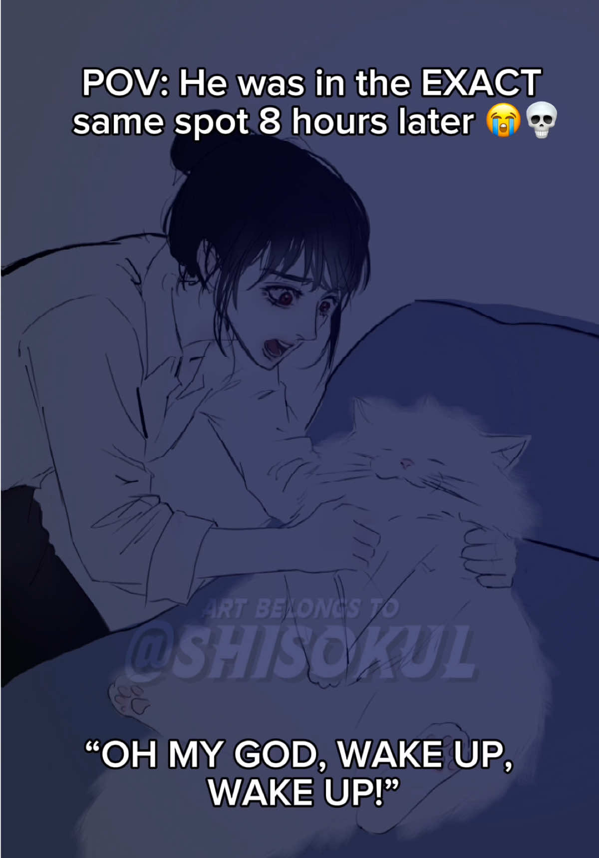 @shisokul