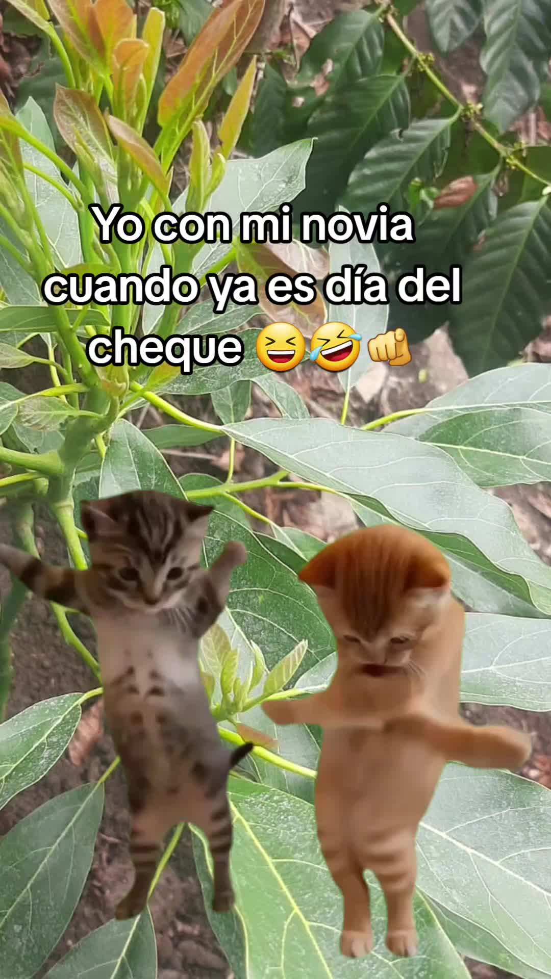 @Gabrielito 502