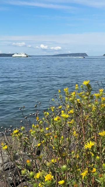 @Pacific NW Blues