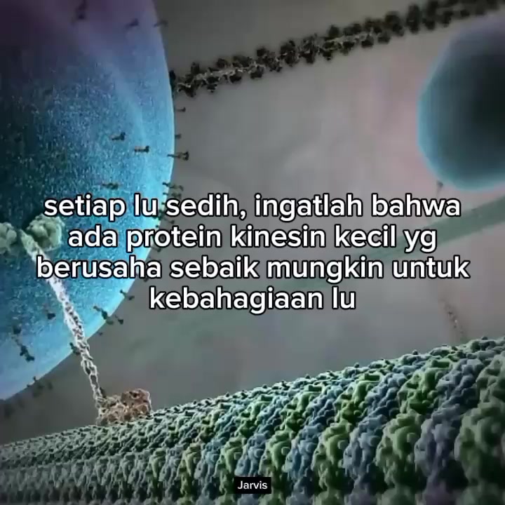 @Jarvis Hari Kemarin