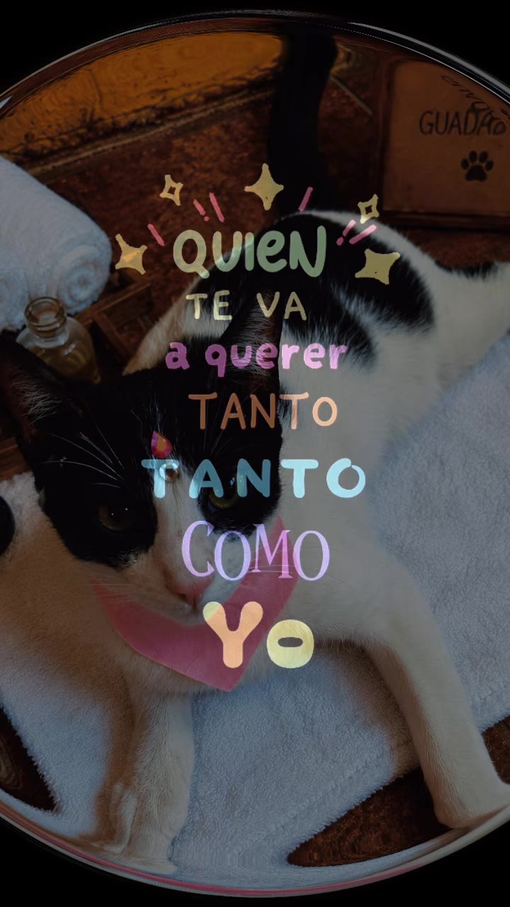@LEAL🍃💕