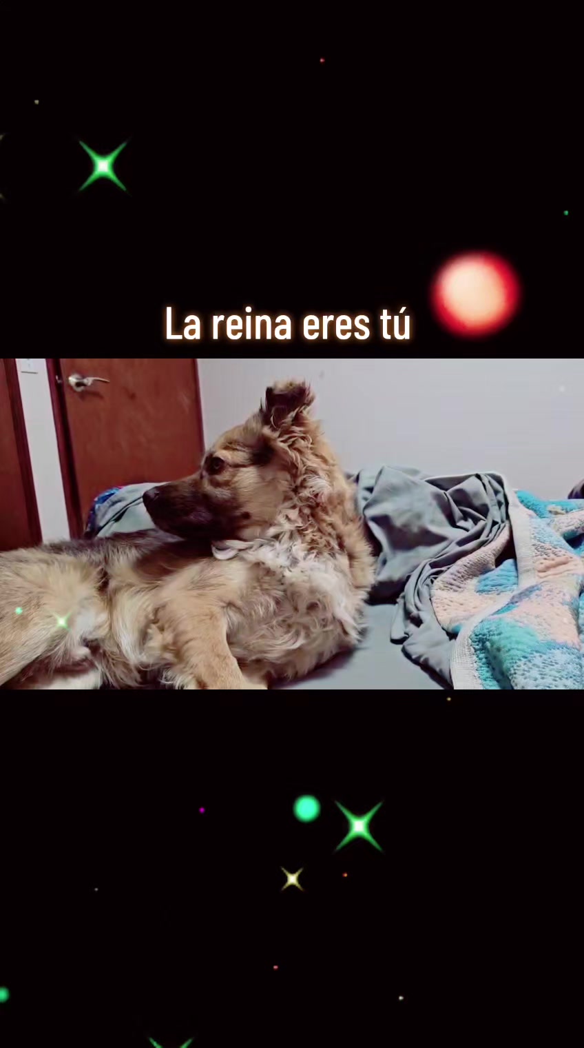 @Violeta Porras - Vio
