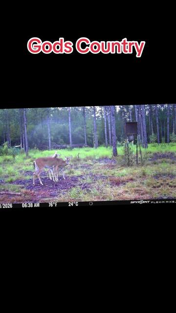 @devotedsportsmen23