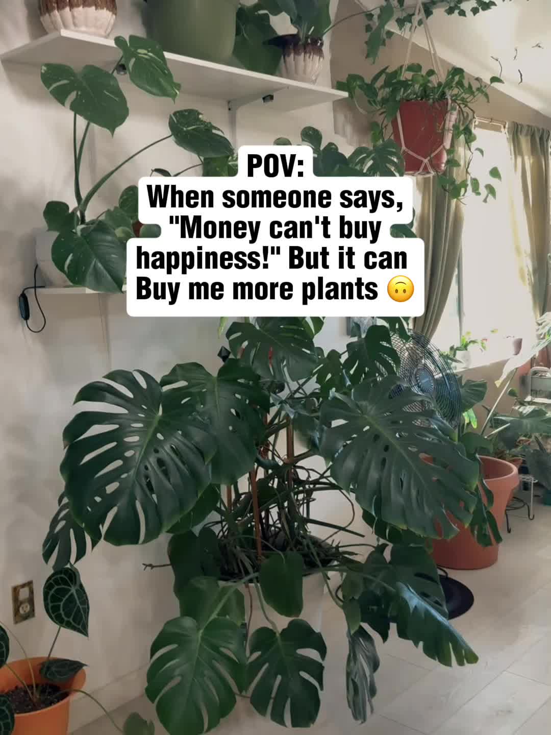 @plant_trappin_apothecary