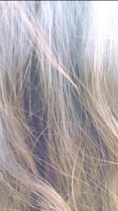 @♈️