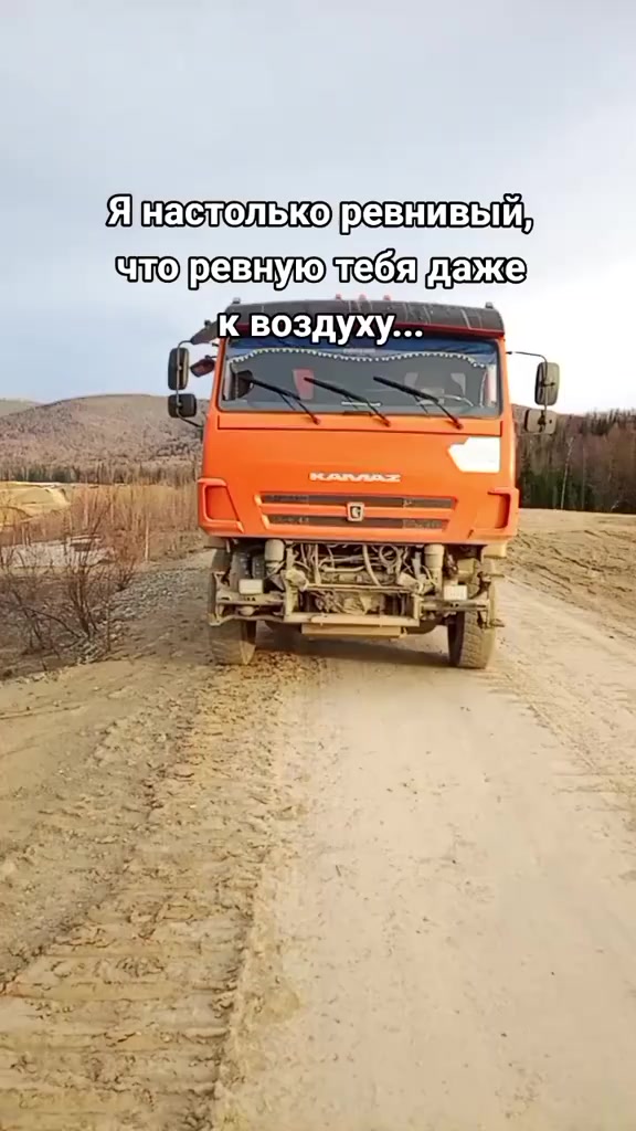 @Мой котик
