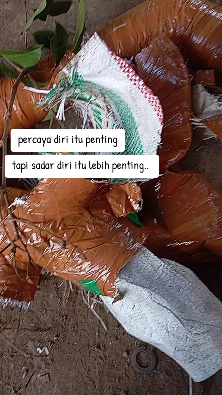 @SANTRI MBELINK86