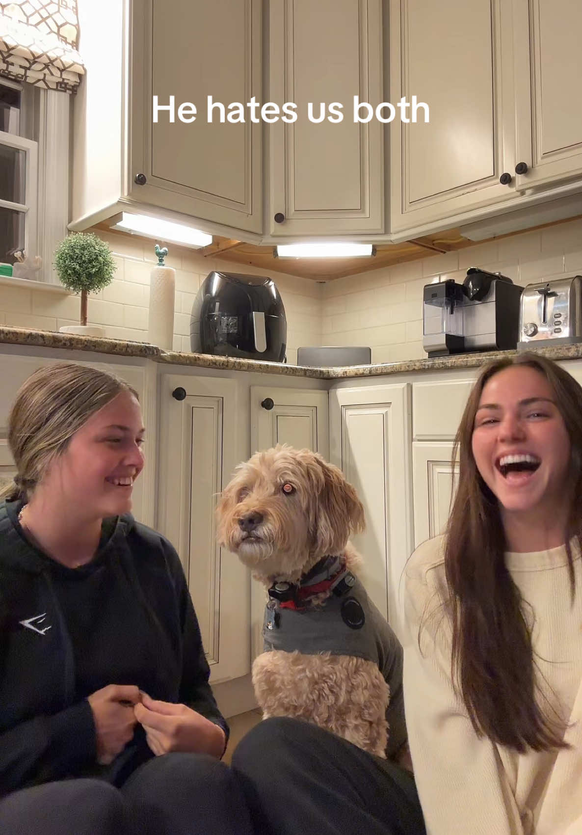 @Emma Campisi
