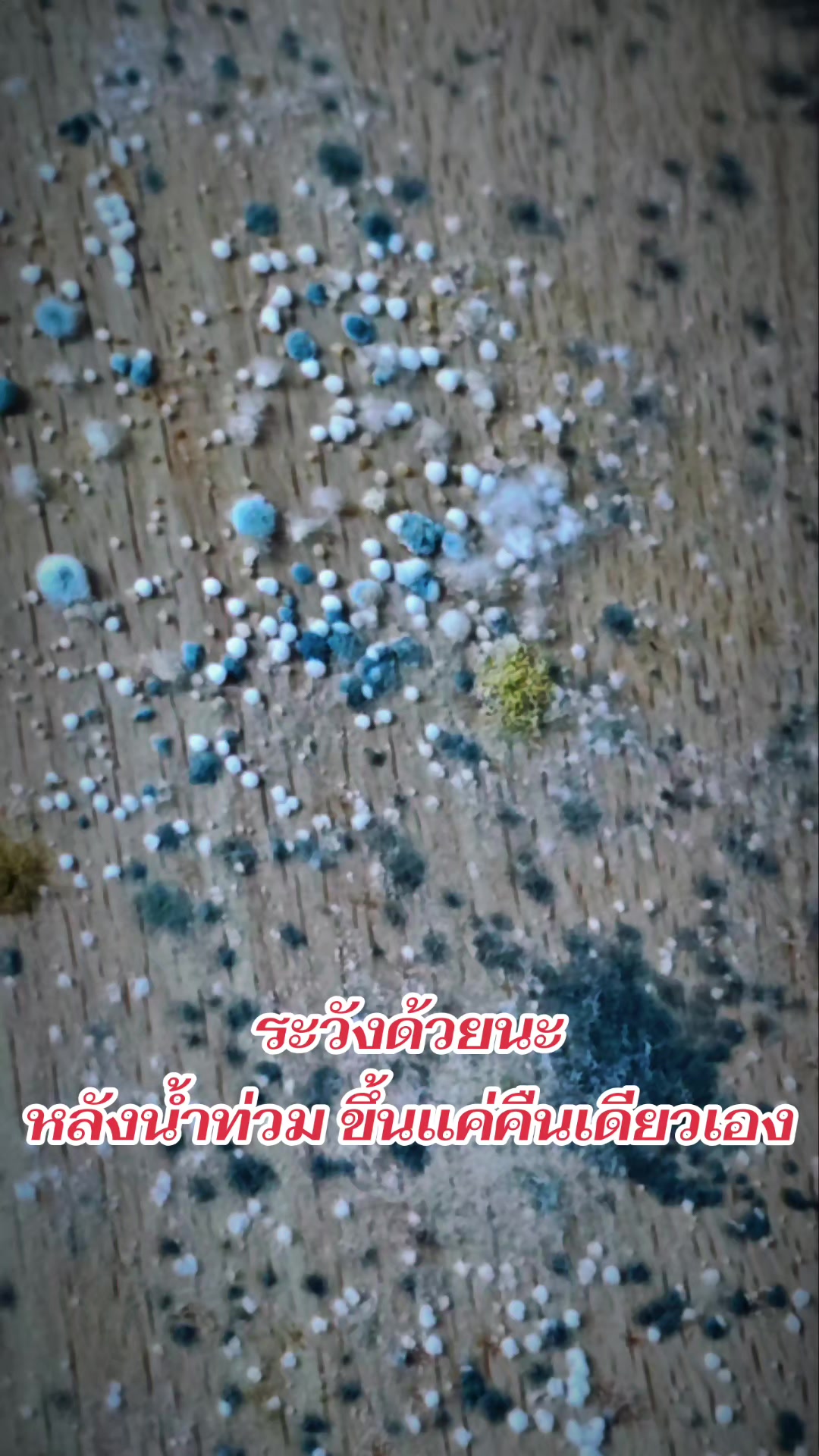 @🇹🇭🅟🅞🅝🅓พี่ปอนด์⓿⓿❾❽🇹🇭💎