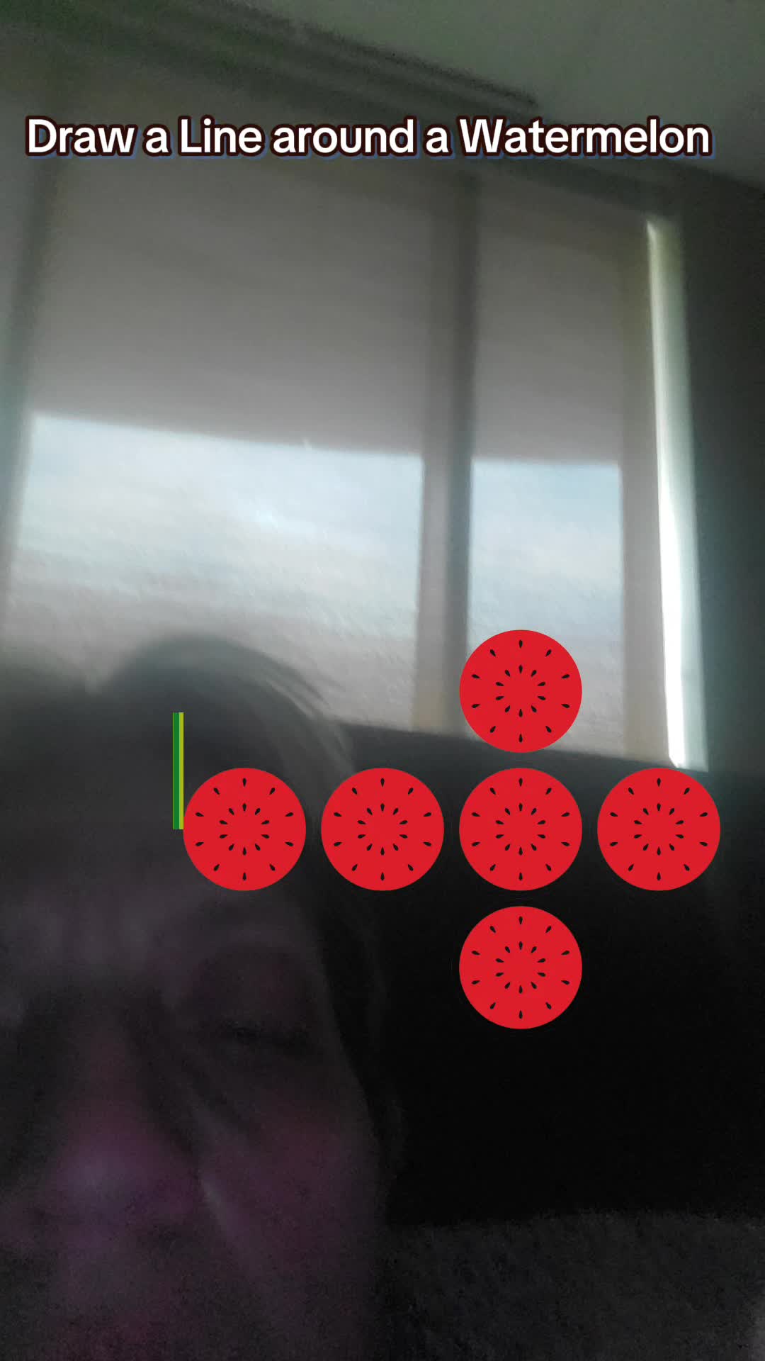 @karenfrech71