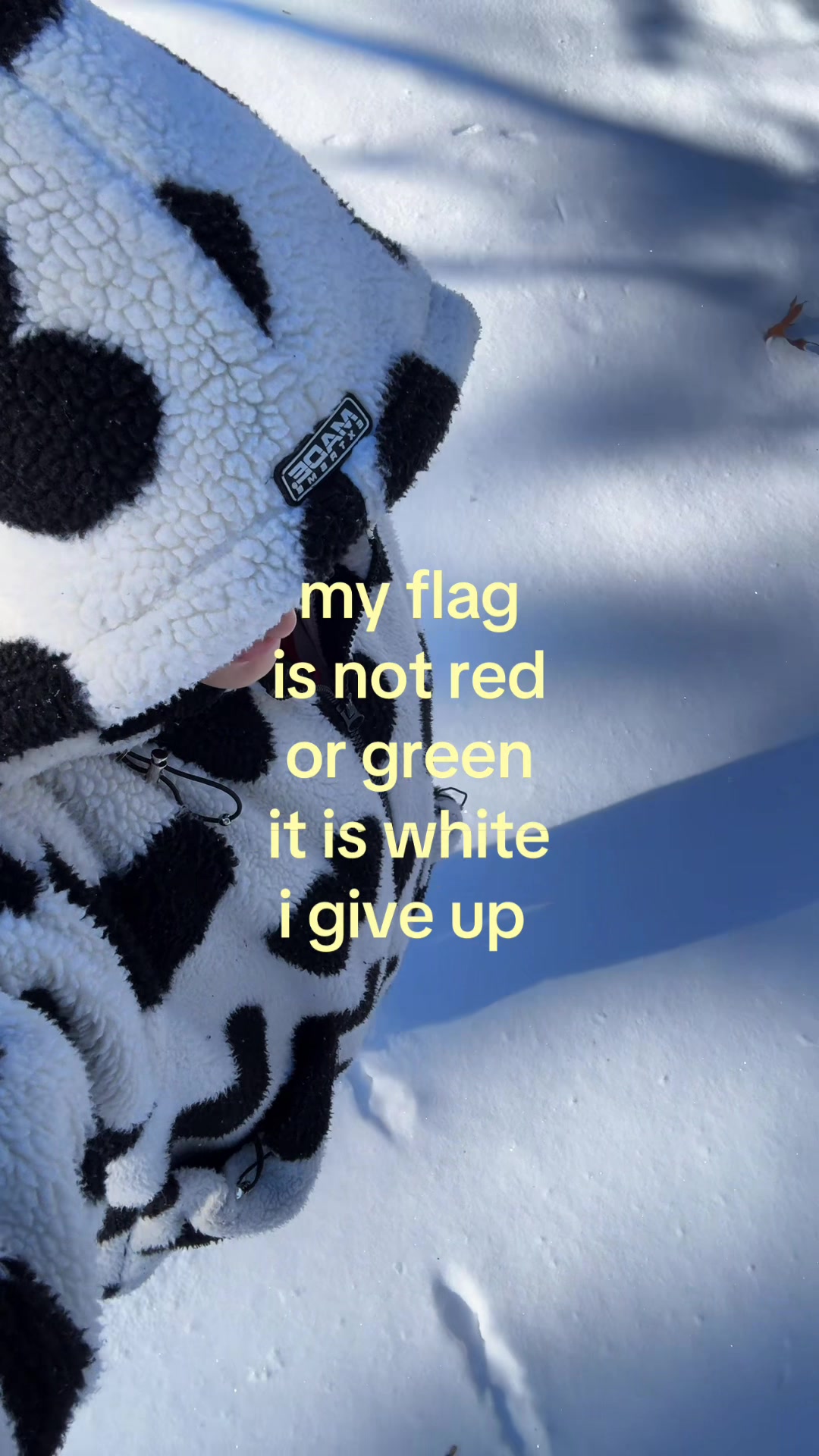 @🐛